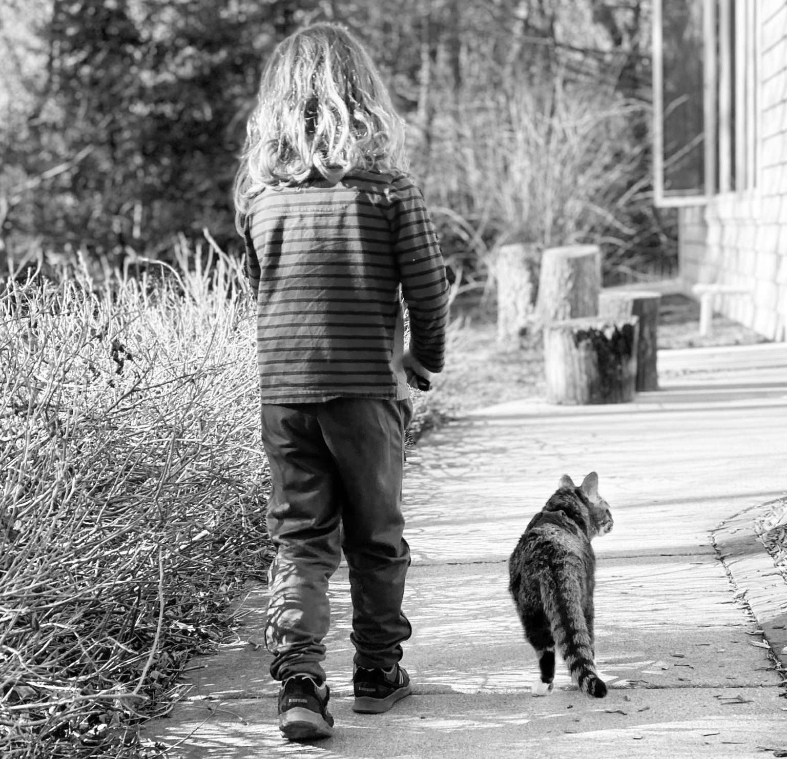 Lifestyle Pet Photography Lake Country • Waukesha • Milwaukee