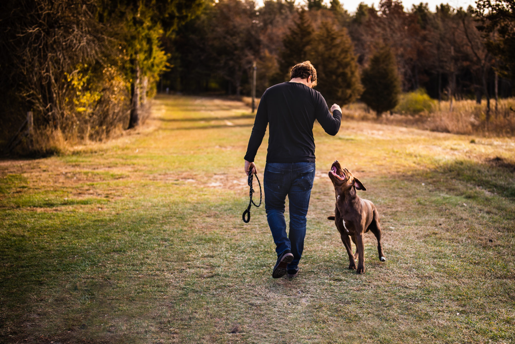 Pet Photography and Pet Lifestyle Sessions in Waukesha & Milwaukee